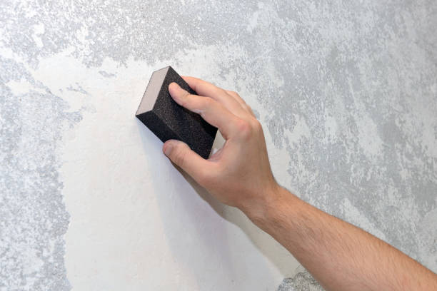 Reliable York, AL Mold Removal Solutions