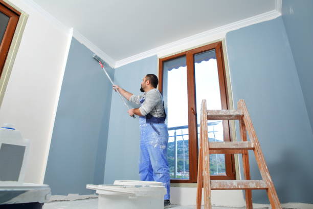 Best Basement Mold Removal  in York, AL