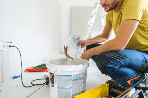 Best Mold Damage Restoration  in York, AL