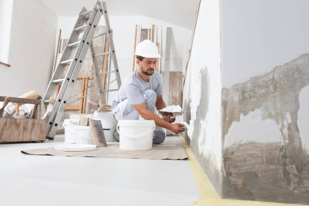 Best Black Mold Removal  in York, AL