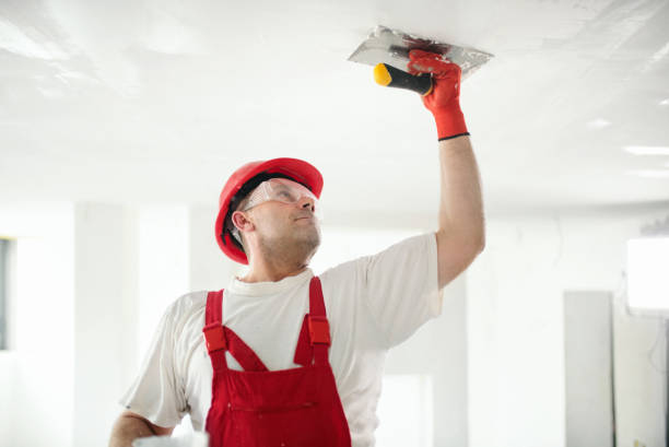 Best Attic Mold Removal  in York, AL